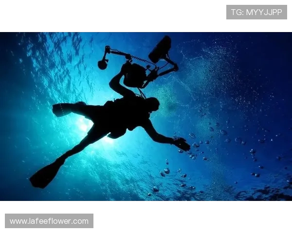 成都极限运动队心理素质排名前十的最新分析与启示