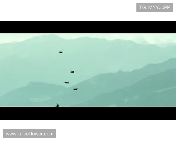 杭州极限运动队的节奏与热潮探秘：极限运动如何引领城市新风尚