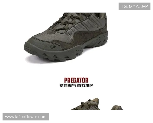 武汉攀岩队的整体压制体系与攀岩战术的深度解析与实践探讨 武汉攀岩队的整体压制体系与攀岩战术的深度解析与实践探讨