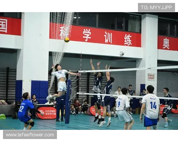 武汉排球队的转换体系探析与排球战术创新研究 武汉排球队的转换体系探析与排球战术创新研究