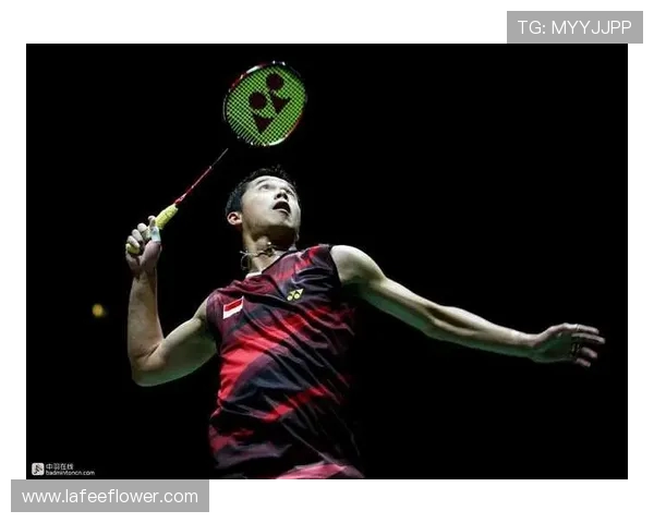 武汉羽毛球队的盯防策略揭秘与深度解析 武汉羽毛球队的盯防策略揭秘与深度解析