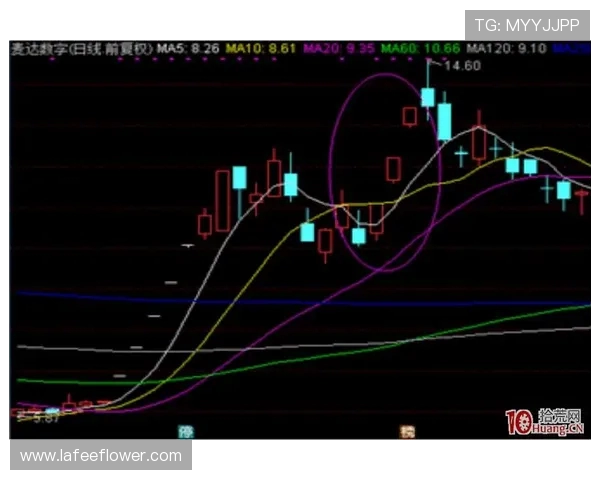 深圳篮球队技术分析与战术创新的深度探讨与展望 深圳篮球队技术分析与战术创新的深度探讨与展望