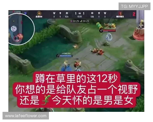 王者荣耀热议:WE战队团队协作引发的争议与反思 王者荣耀热议:WE战队团队协作引发的争议与反思