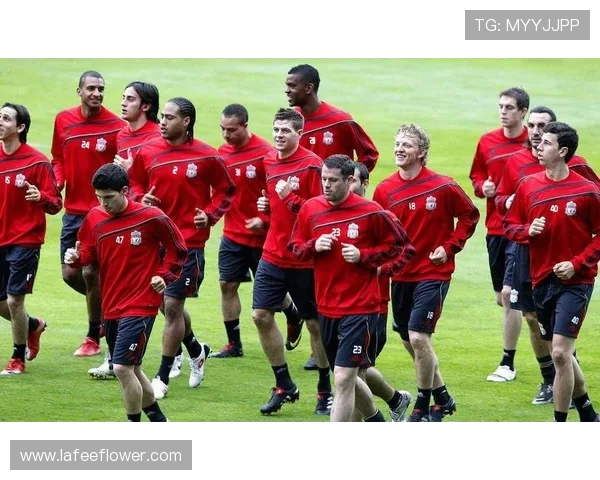 中部海岸海员与惠灵顿凤凰的激烈对决展现足球魅力与团队精神 中部海岸海员与惠灵顿凤凰的激烈对决展现足球魅力与团队精神