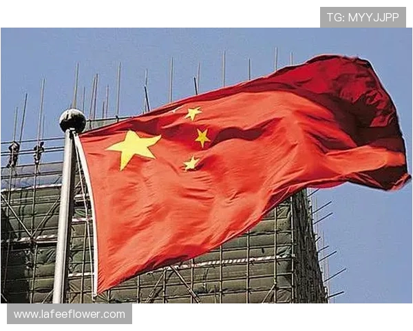 加维的崛起与挑战：探索他在足球世界中的影响力与未来发展