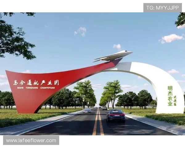 张骋宇：在科技创新浪潮中崭露头角的青年才俊与未来发展潜力分析