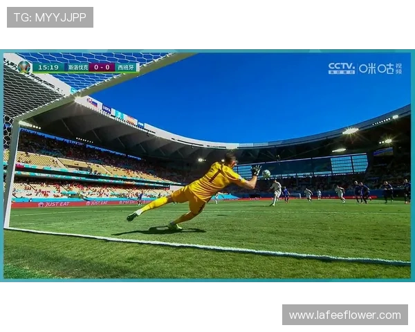 德国与葡萄牙激战正酣CNTV全程直播精彩赛事回顾与分析 德国与葡萄牙激战正酣CNTV全程直播精彩赛事回顾与分析