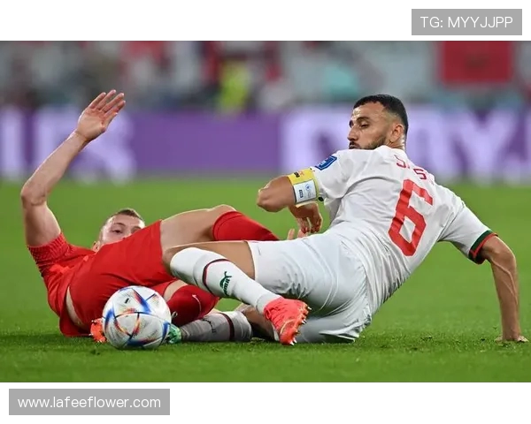 摩洛哥与伊朗比赛欧赔对比分析及投注建议 摩洛哥与伊朗比赛欧赔对比分析及投注建议