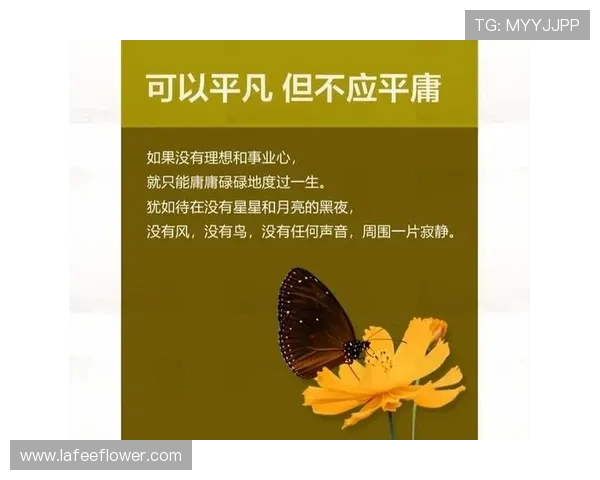 李晓旭的奋斗历程与成长故事：从平凡到卓越的心路历程