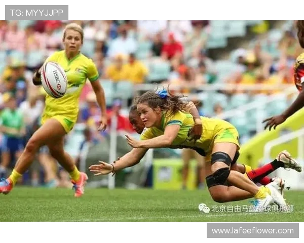 瓦斯科与桑托斯激战正酣谁能在这场对决中笑到最后 瓦斯科与桑托斯激战正酣谁能在这场对决中笑到最后