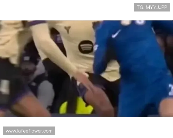 科林蒂巴主场迎战累体育期待一场精彩的足球对决与激情碰撞