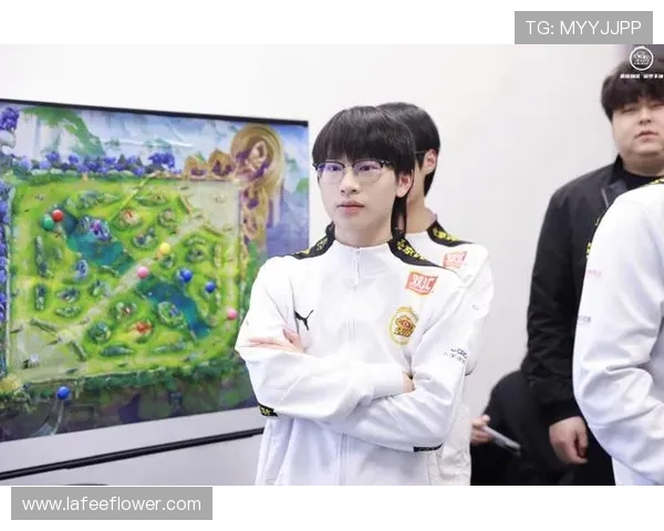 聚焦王者荣耀TES战队的比赛经验与策略分享探讨