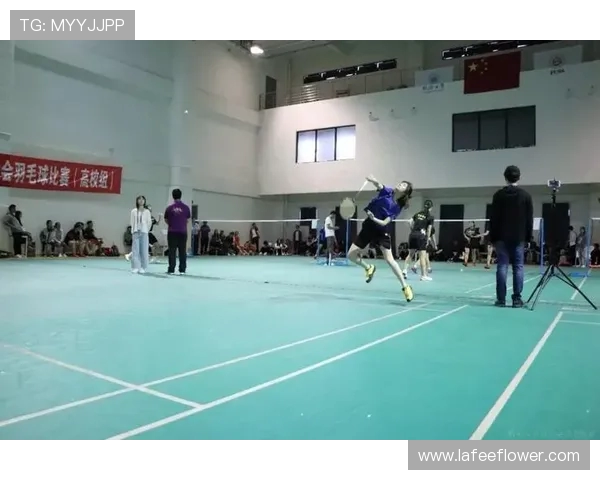 西安羽毛球队的控制革新探索与实践全景分析 西安羽毛球队的控制革新探索与实践全景分析