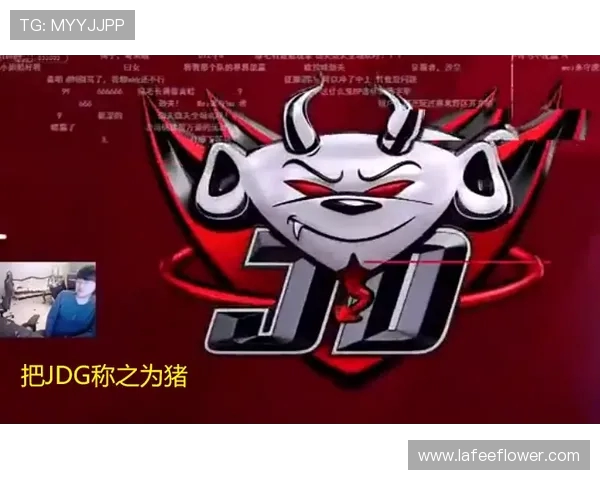 赛后分析：JDG与LNG对抗中的战术意识与团队配合探讨