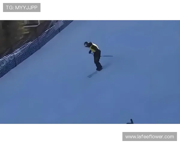 上海滑板队在极限运动会中的个人能力展现与精彩表现分析