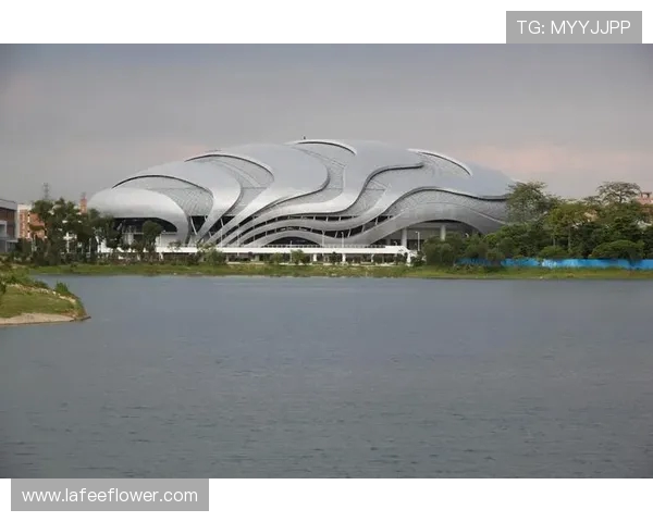 广州极限运动队团队协作创新高引领全国极限运动新潮流