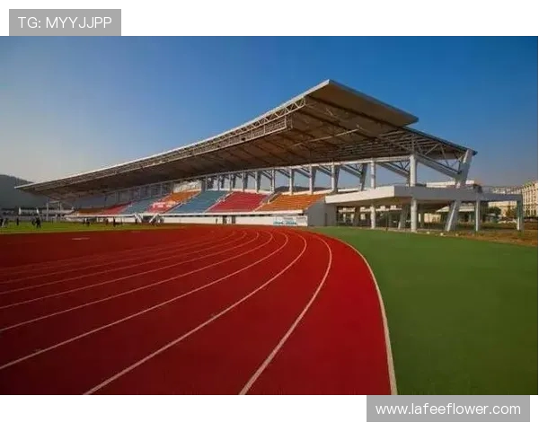 成都网球队包夹战术创新探索与实践分析全景报告