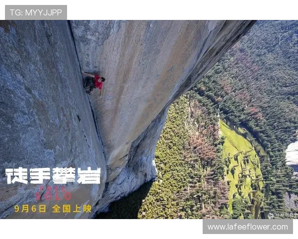 攀岩比赛权威发布实力榜单揭晓经验与实力双重考量