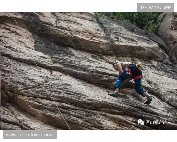 杭州攀岩队在全国攀岩战术排行榜中荣获第五名的辉煌成就